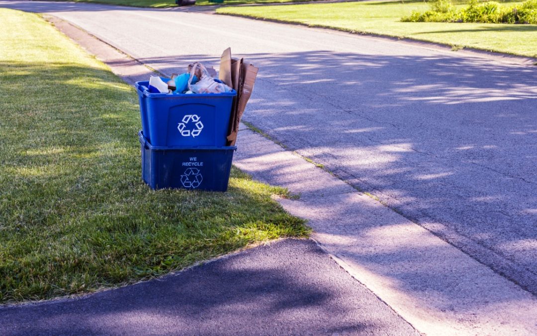 The Tidy Bear: On-Demand Trash Removal in the Poconos